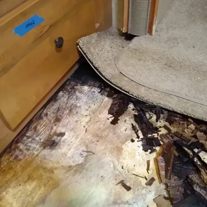 Wood Floor Water Damage in Mundelein, IL